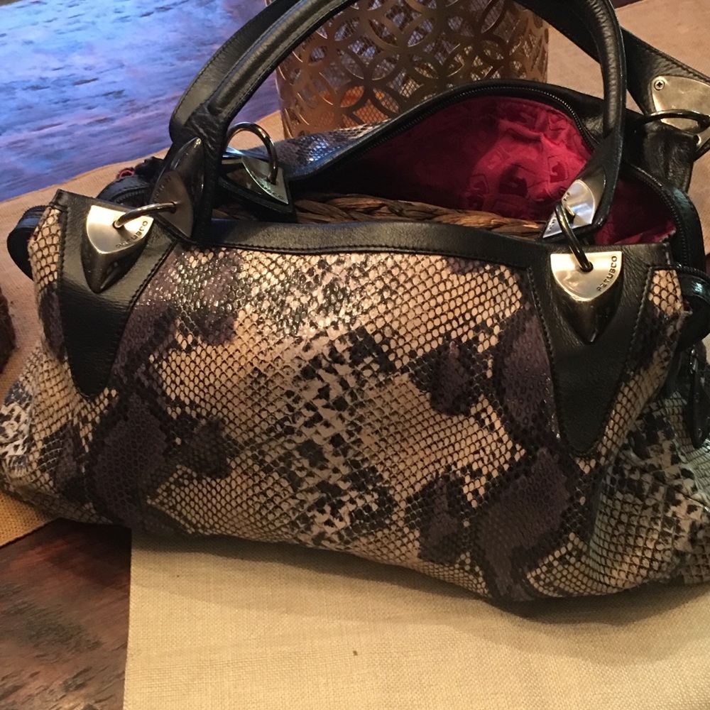 Snake skin purse